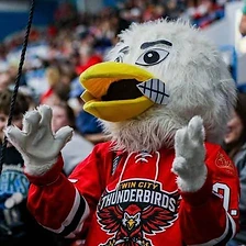 Thunderbirds mascot