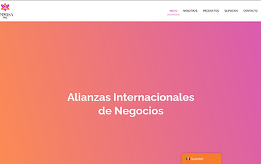 Captura de pantalla del sitio web de Emmisa Inc, alianzas internacionales de negocios