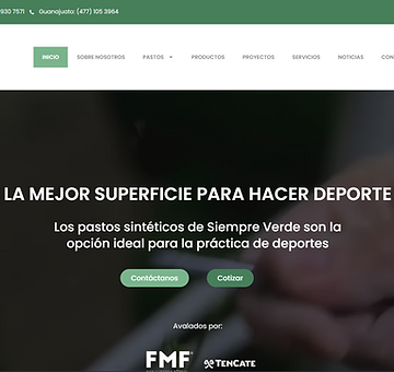 Captura de pantalla del sitio web de Pasto Siempre Verde, pastos sintéticos para deportes