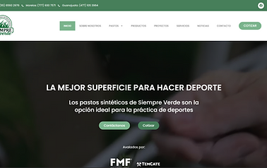Captura de pantalla del sitio web de Pasto Siempre Verde, pastos sintéticos para deportes
