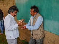 A man presents a dried ear of maize criollo to a colleague outdoors, sharing knowledge of native maize varieties