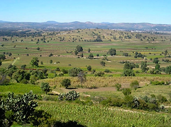 A broad highland valley with milpa plots, orchards, and scattered trees under a clear sky