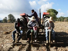 Four men ride a tractor-pulled planting implement, seeding a freshly plowed milpa field under a bright blue sky