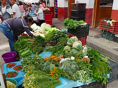 A market vendor arranges diverse produce and herbs on a blue tarp at an outdoor tianguis — field documentation of food systems and local provisioning.
