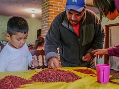 An adult and young people sort dried plant material together on a table — intergenerational food preparation and learning.
