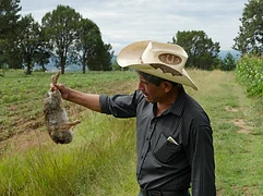 A man in a cowboy hat holds a rabbit — documentation of human–animal relations in rural agricultural settings