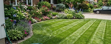 Lawn & Garden