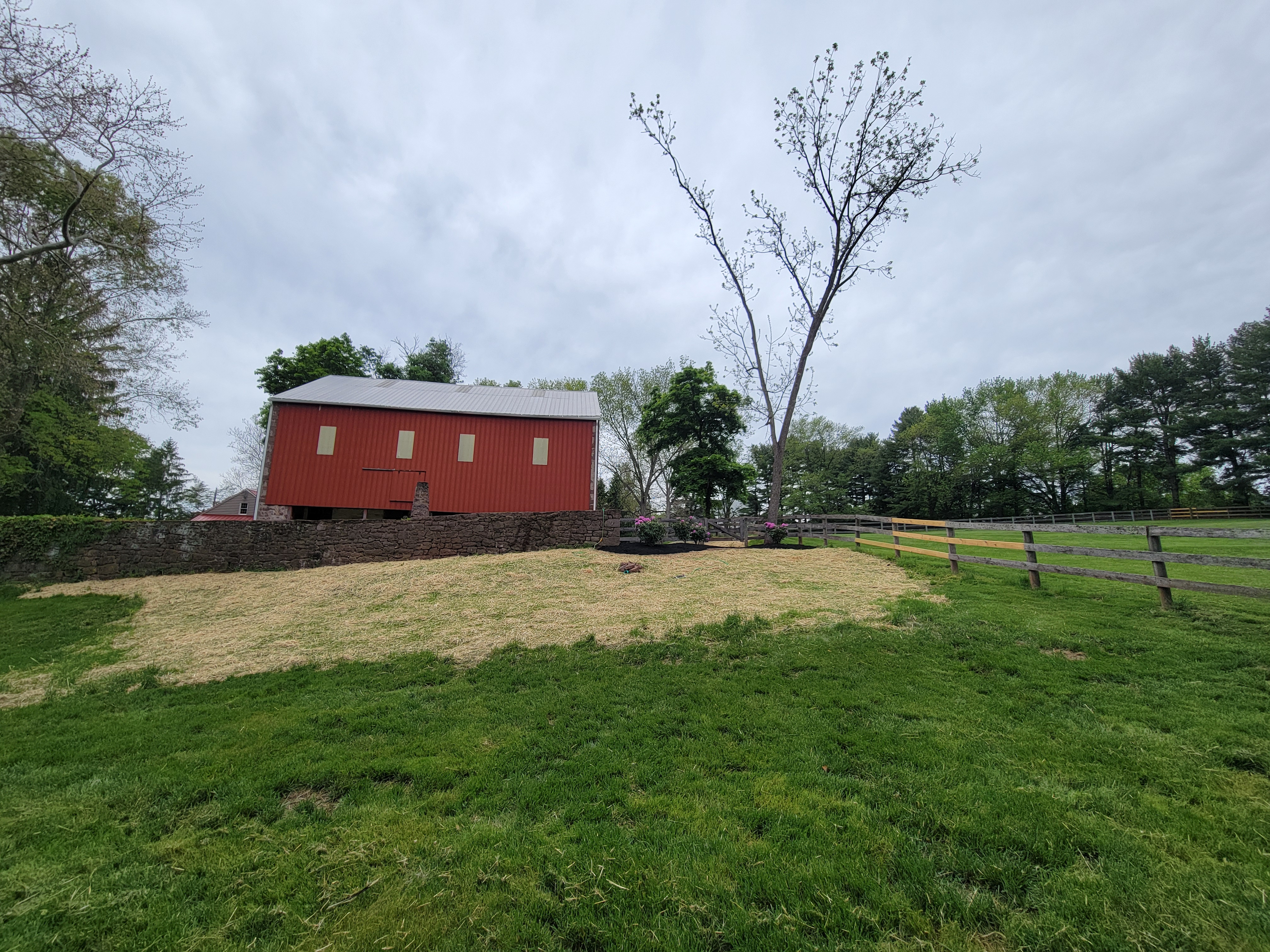 Lawn Maintenance gallery 6