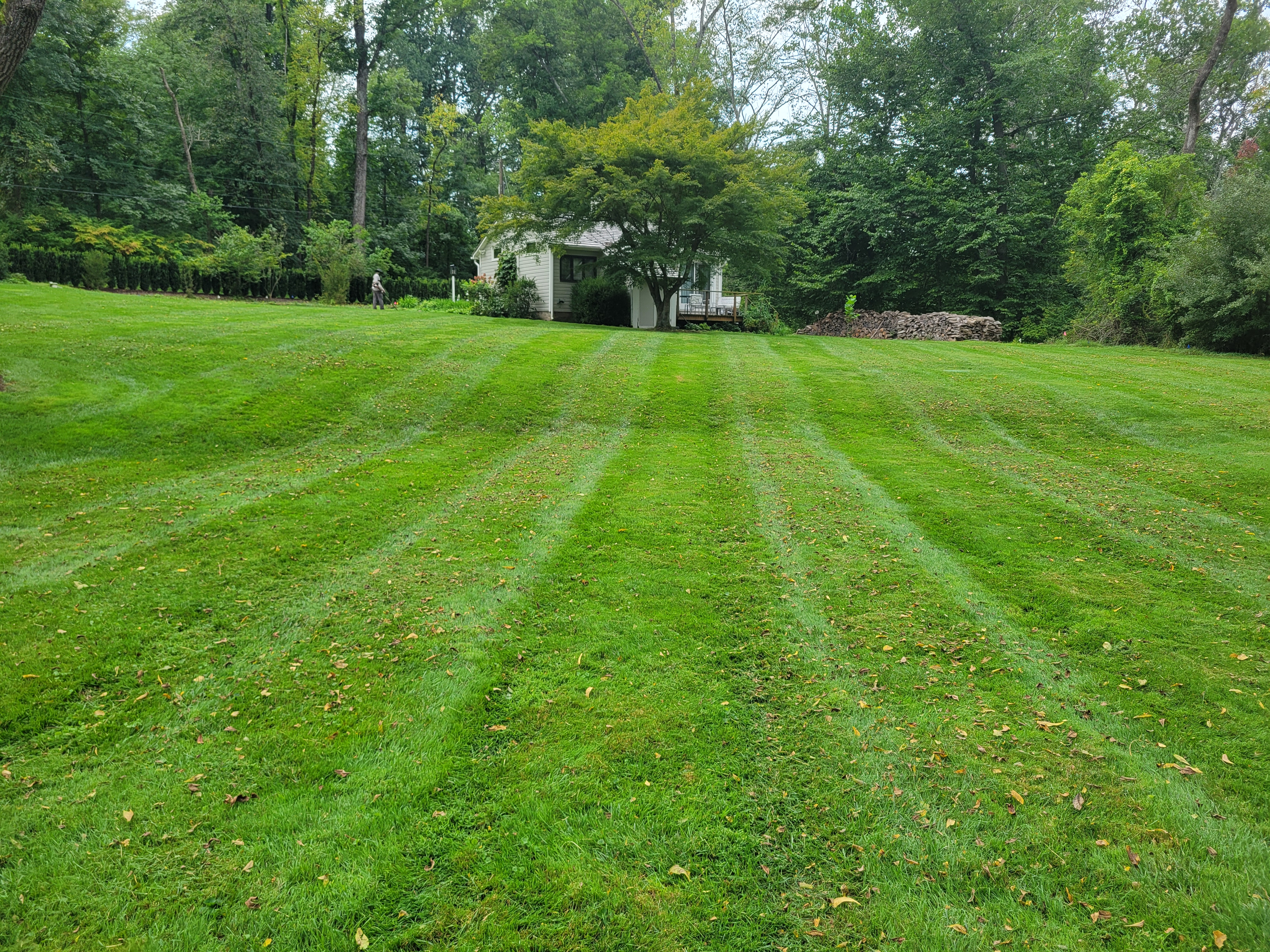 Lawn Maintenance build progress