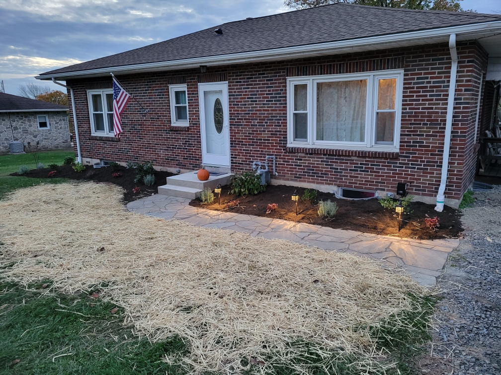 Landscape Lighting build progress