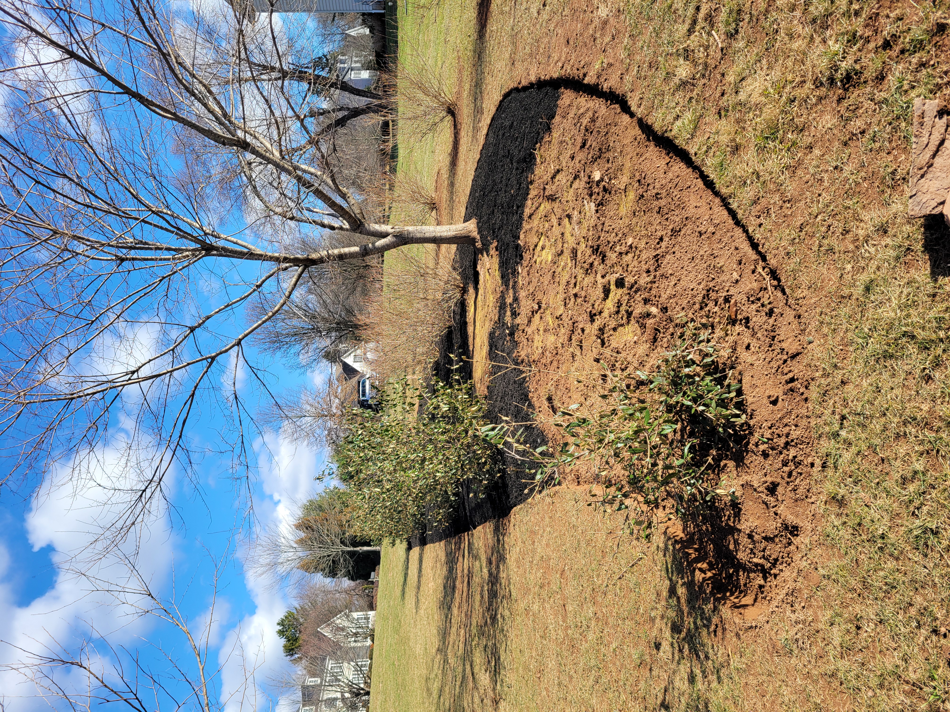 Visionary Landscapes build progress