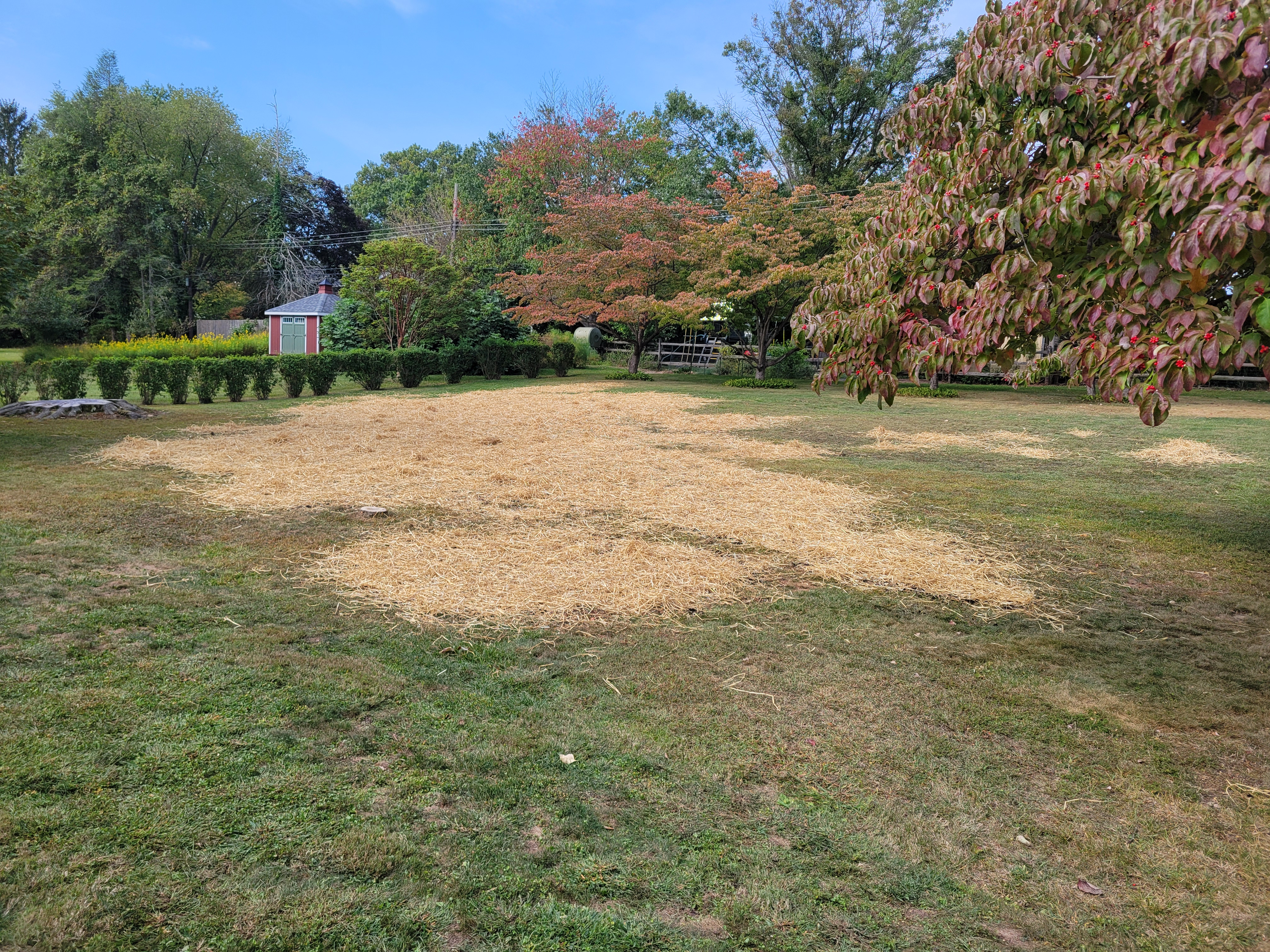 Soil Prep → Seeded after