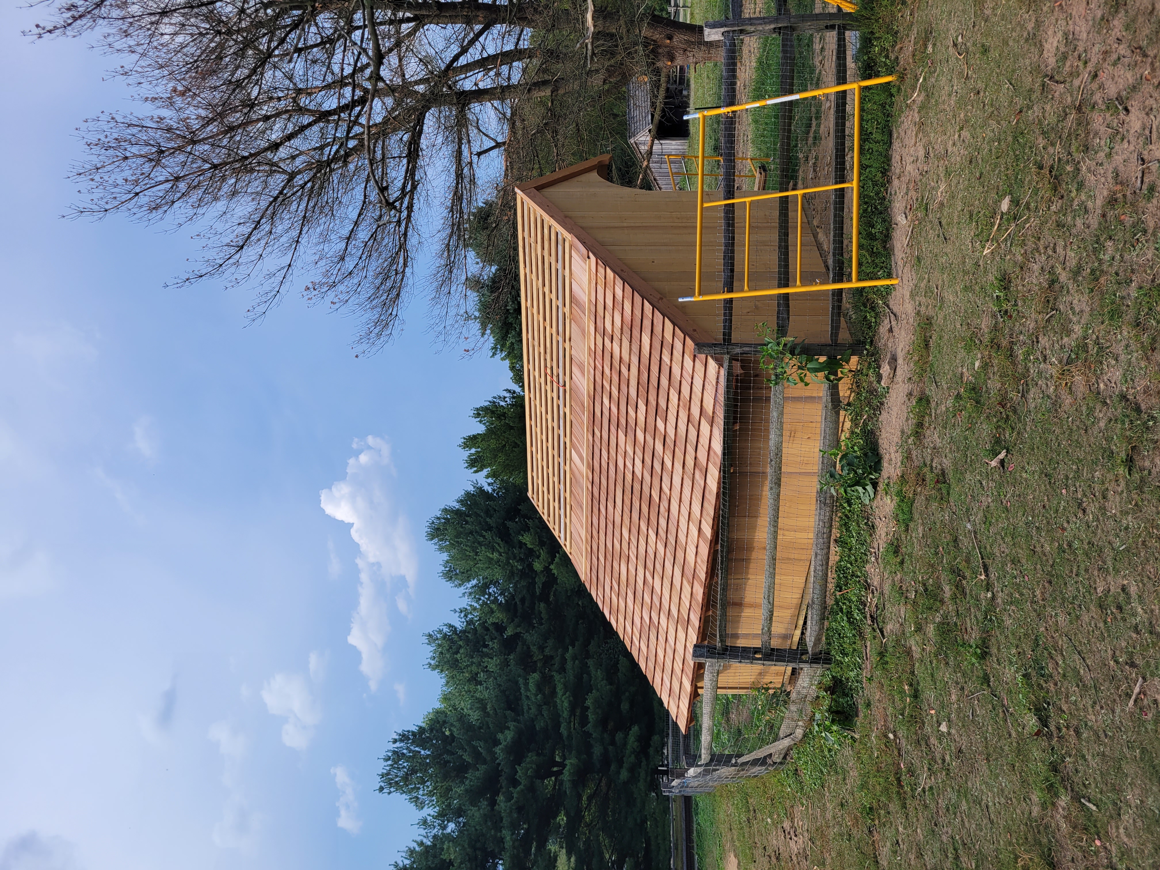The Shelter