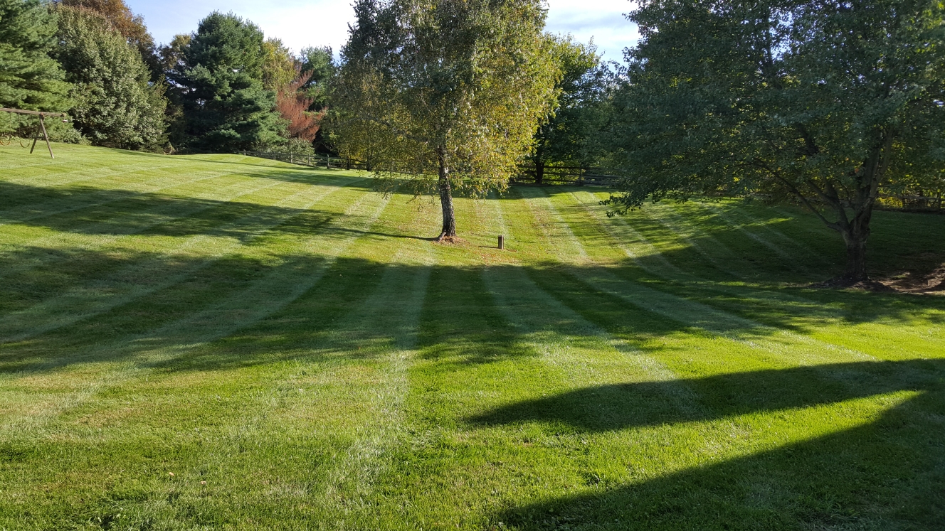 Lawn Maintenance build progress