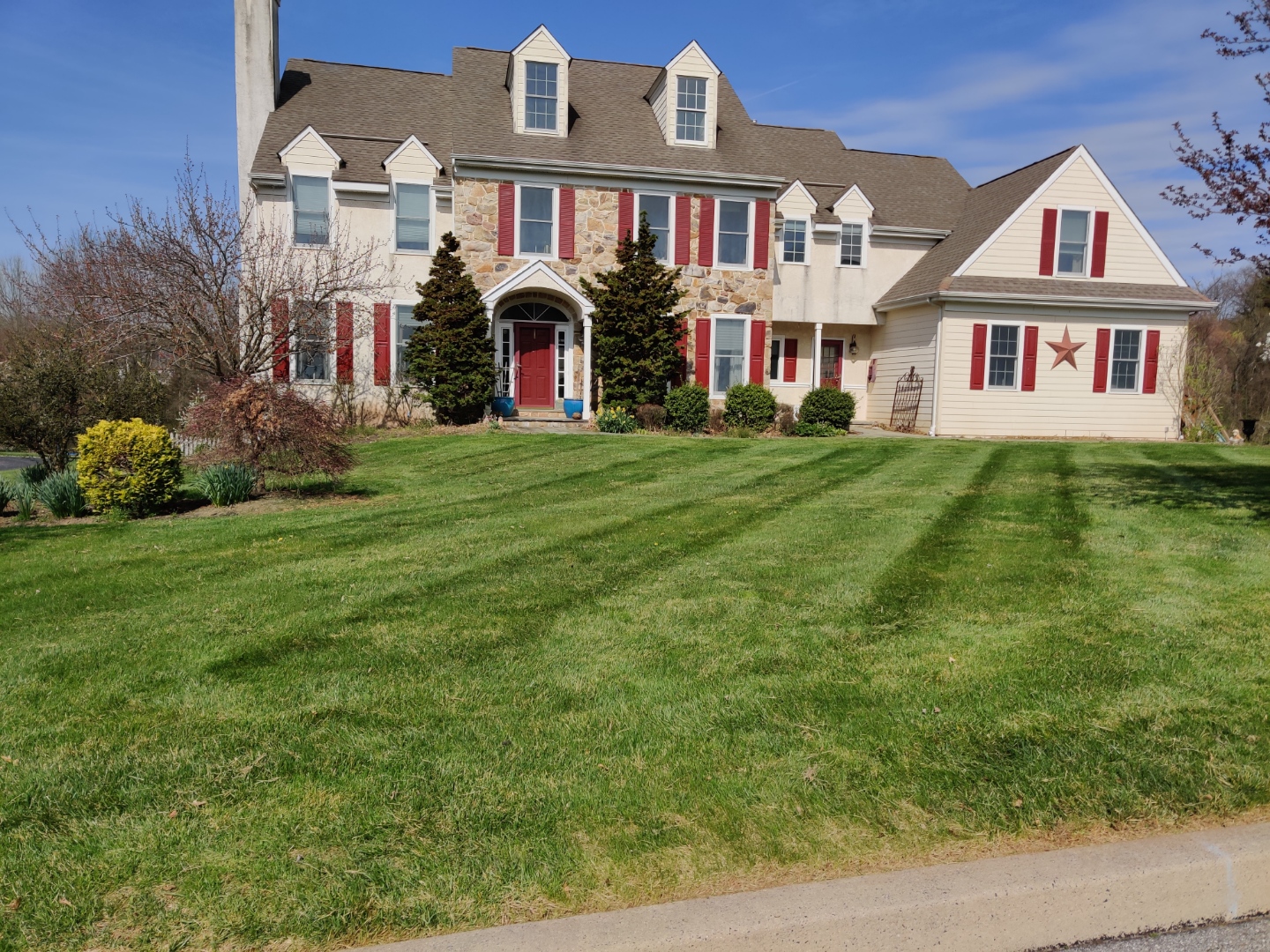 Lawn Maintenance