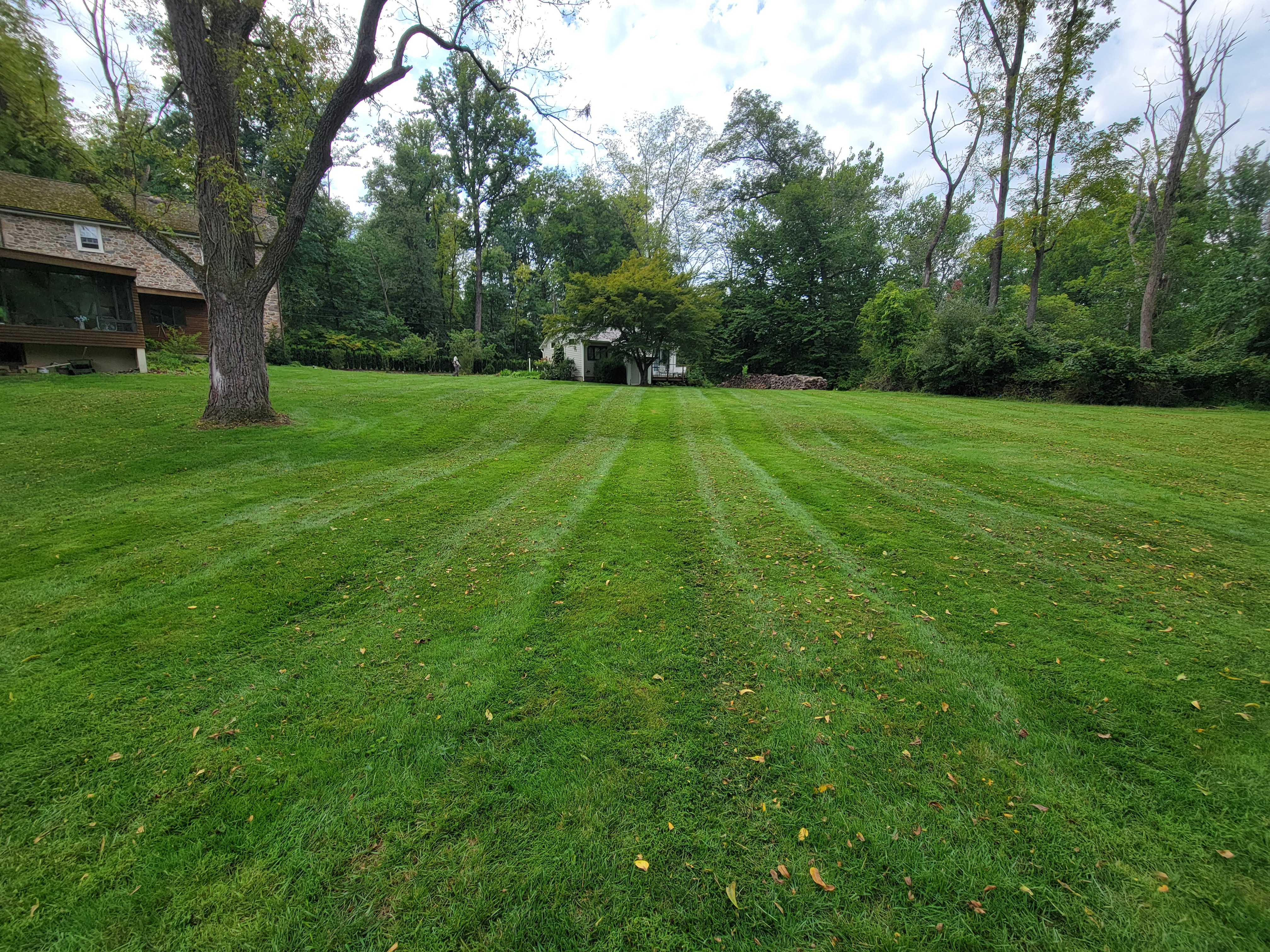 Lawn Maintenance build progress