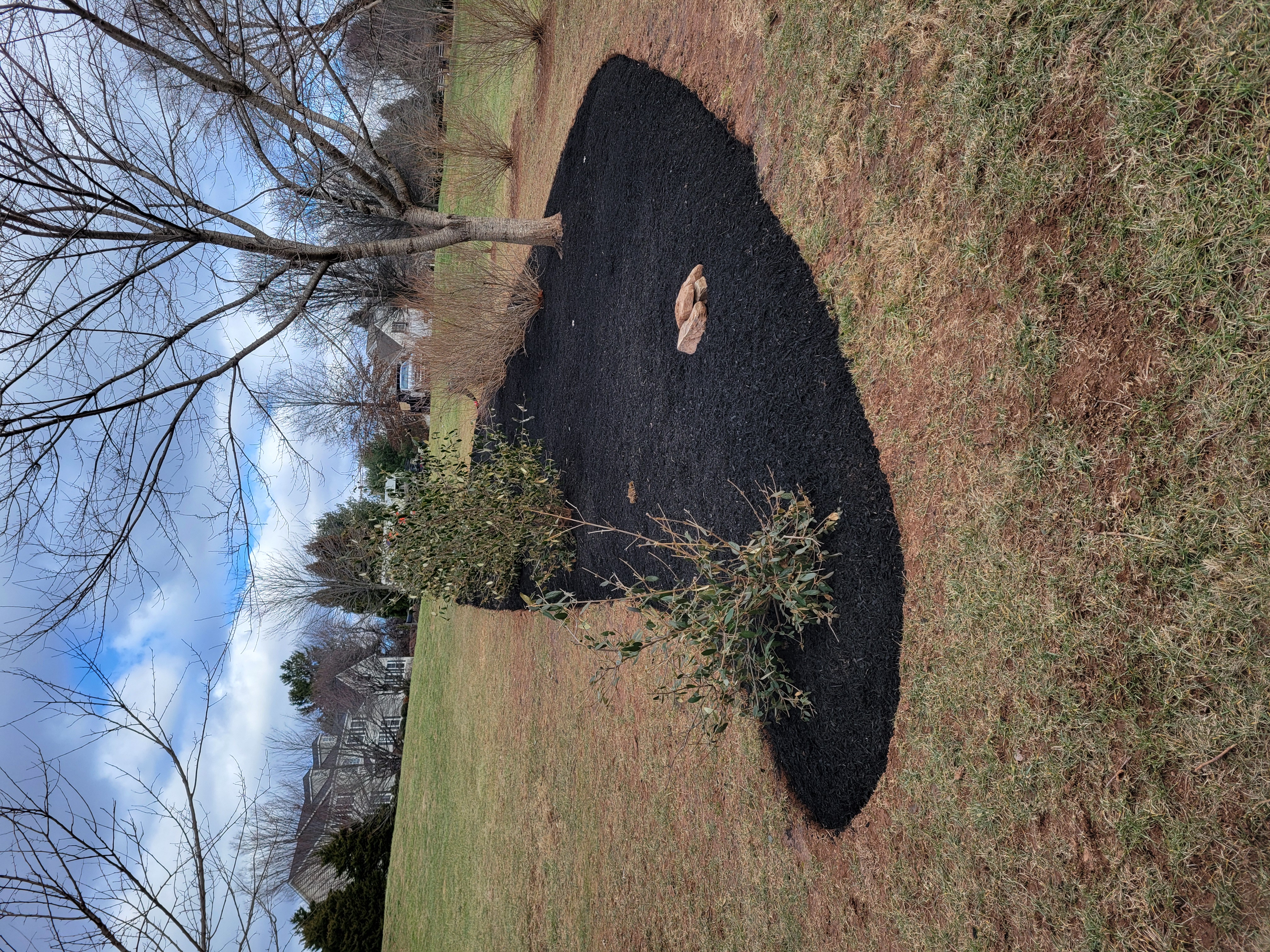 Visionary Landscapes build progress