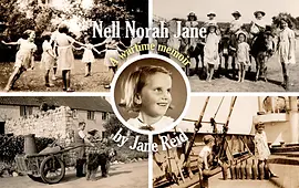 Nell Norah Jane by Jane Reid book cover