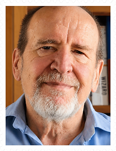 Michael Holman