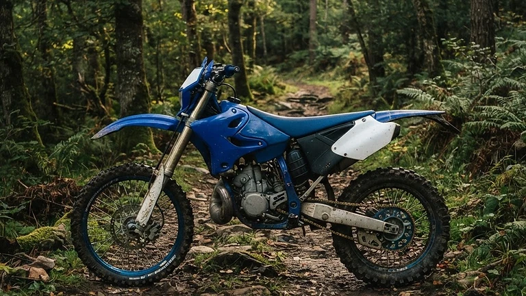 Yamaha WR 300