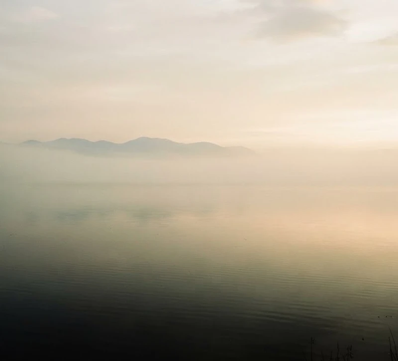 Mist over still water at dawn