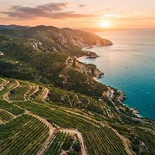 Évora & Arrábida: Rota dos Vinhos