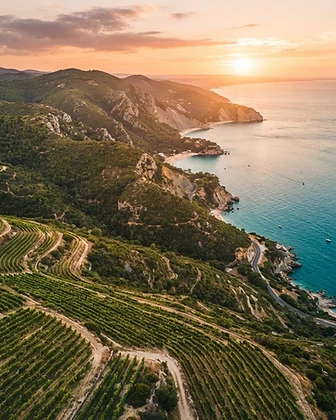 Évora & Arrábida: Rota dos Vinhos