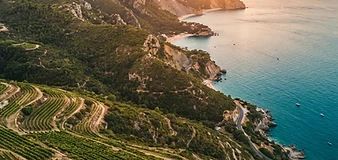 Évora & Arrábida: Rota dos Vinhos