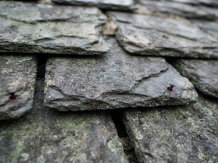 High-resolution roof tile detail