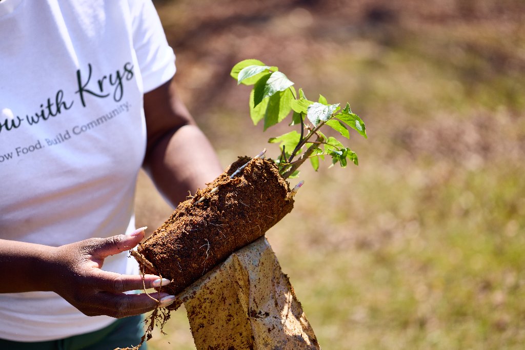 Youth Learning to Grow Food