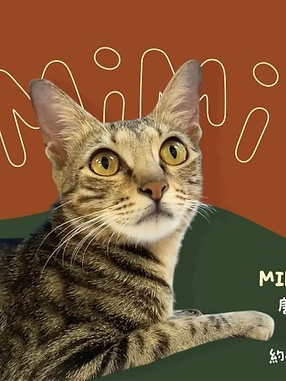 Mimi