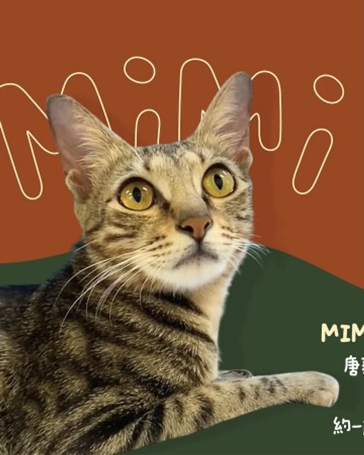 Mimi