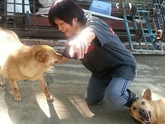與狗狗互動