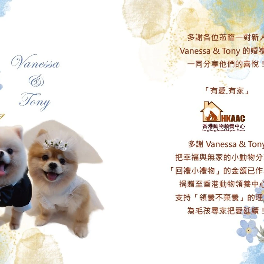 婚禮回禮小心意