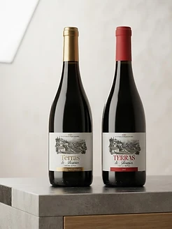 Design de Rótulo para Vinho Terras de Silicarius