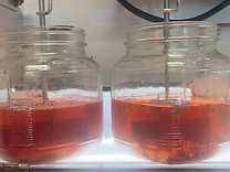 Close-up of two jar-test beakers filled with vivid crimson liquid on a backlit A&F testing base