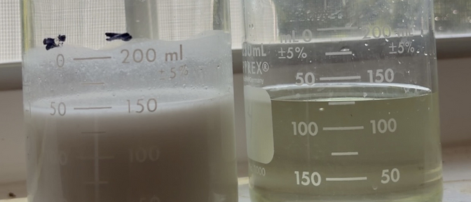 Side-by-side lab beakers: a white, milky 20% TREO lanthanum malate slurry (salt-free) on the left beside a clear, pale 28% TREO lanthanum/cerium mixed solution on the right
