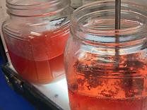 Two glass jars of deep reddish-orange liquid under an A&F jar-test apparatus — high-load ammonia primary water with blood