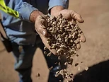 Hands pouring crushed rare earth ore