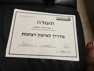 מדריך לאימון רצועות