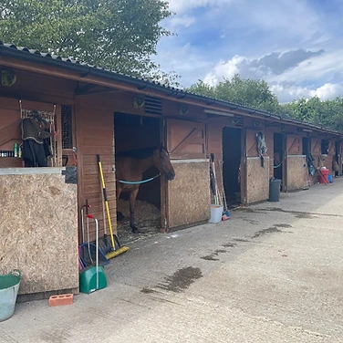 The main stable yard