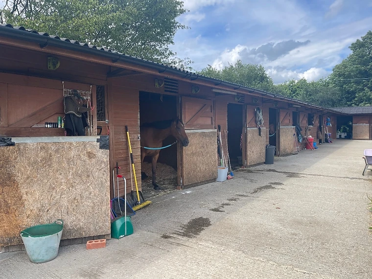 The main stable yard at Willows with a row of loose boxes