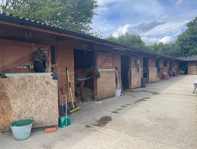 The main stable yard at Willows with a row of loose boxes