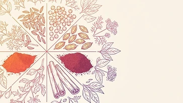 Botanical illustration: a spice wheel of cumin, coriander, cardamom, sumac, cinnamon and paprika