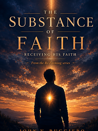 Book cover of The Romans 6 Discovery