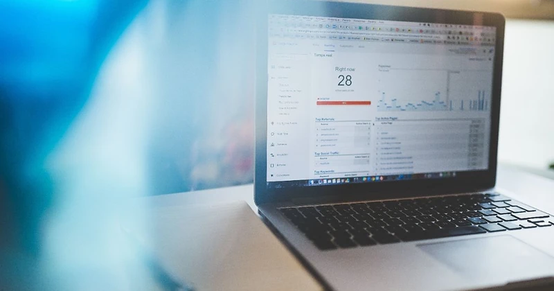 Google Ads in practice at TrueBuzz