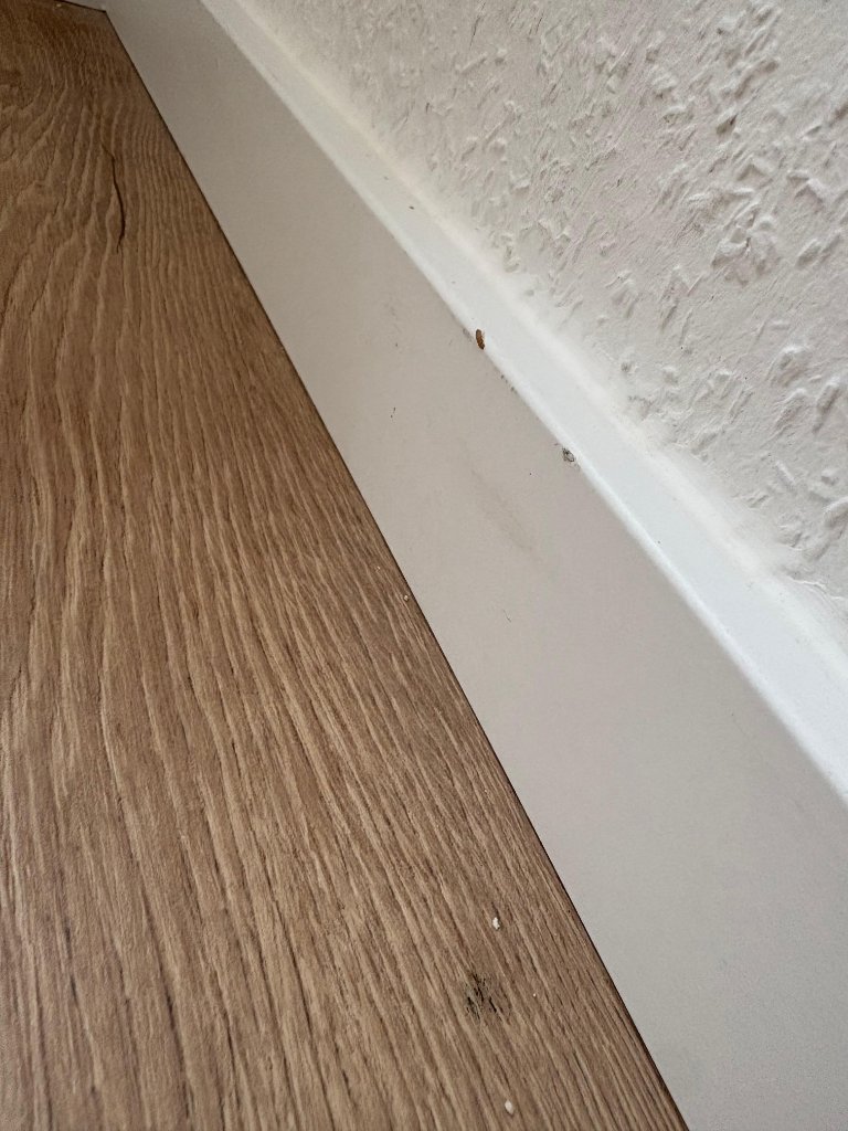 Zimmer — Tageslicht
