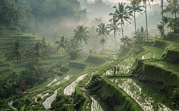Bali (Indonesia)