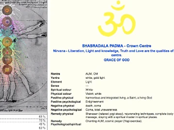 Chakra Software — Biopulsar biofeedback software