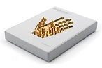 Biopulsar hand sensor board for aura photography